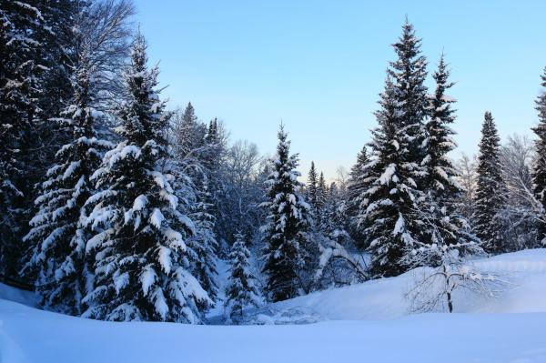  Inverno siberiano