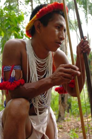 indigeno Piaroa