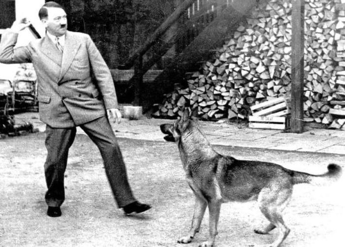 Il cane di Hitler