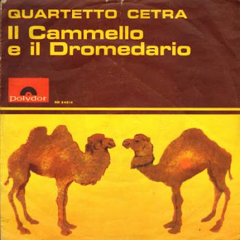 Il cammello e il dromedario