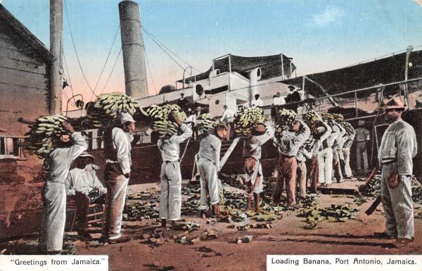 Loading Banana, Port Antonio, Jamaica, 1904 o 1914