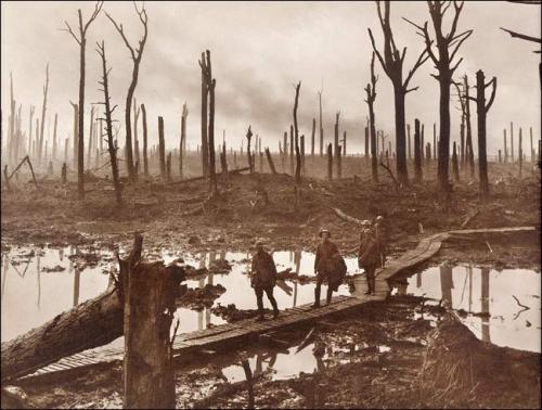 The Shell-Shattered Area of Chateau Wood, ‎Flanders, by Frank Hurley, 1917.‎<br />
