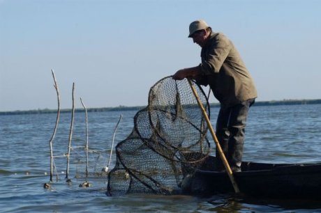 Pescatore rumeno sul delta del Danubio.