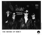 The Sisters of Mercy