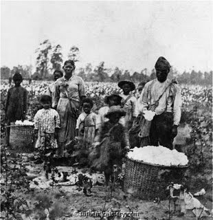 1860s Slaves Picking Cotton