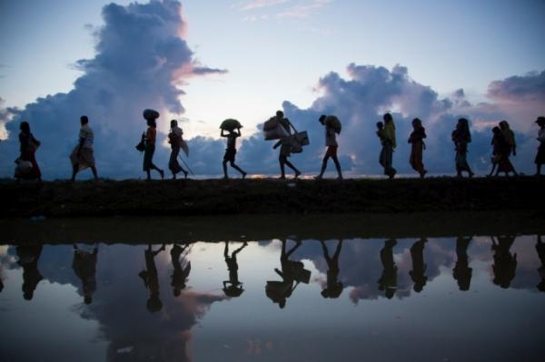 Profughi Rohingya dal Myanmar attraversano il confine cercando riparo in Bangladesh - foto di Roger Arnold 