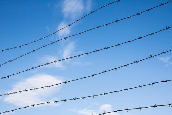 [[https://upload.wikimedia.org/wikipedia/commons/thumb/0/04/Barbed-wire.jpg/640px-Barbed-wire.jpg|]]