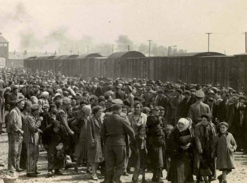Maggio 1944. Arrivo ad Auschwitz-Birkenau e prima divisione dei prigionieri