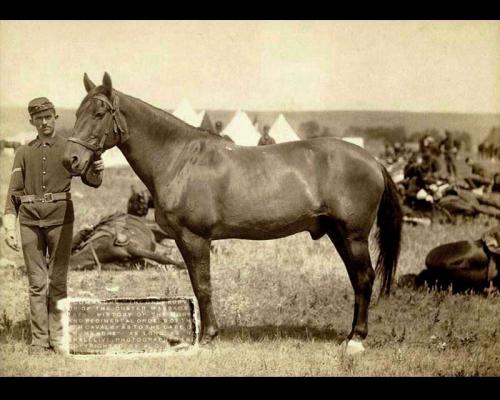 Comanche nel 1887