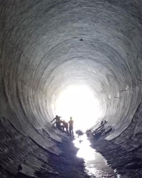 De Profundis [Victims in Gaza]