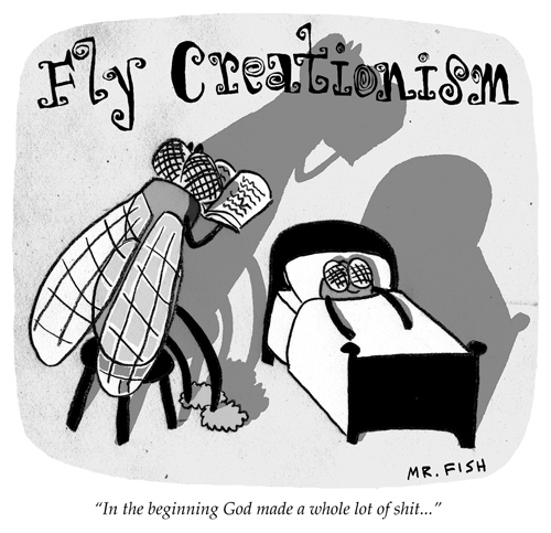 FlyCreationism5