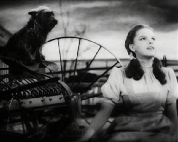 Judy Garland canta  "Over the Rainbow" nel film "The Wizard of Oz" ("Il mago di Oz")