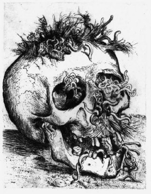 Otto Dix, A Skull (Un teschio). 1924
