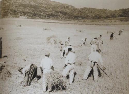 Battan le sette e mezzo