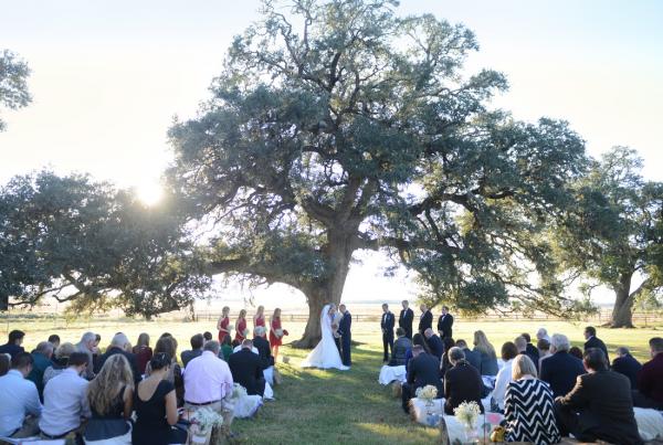 Festa di nozze al Moore Ranch (proprio sotto un bell'albero da Strange Fruit!)