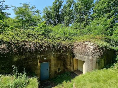 De bunkers