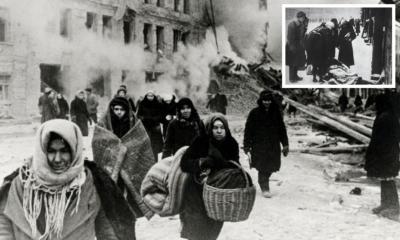 Bombardamento dei grandi magazzini Badajev.