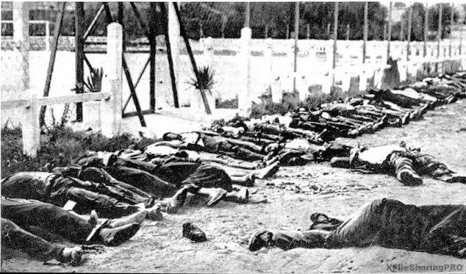 ‎I massacri del maggio 1945. Negli stessi ‎giorni in Francia e in tutto il mondo si festeggiava la fine della guerra in Europa… ‎