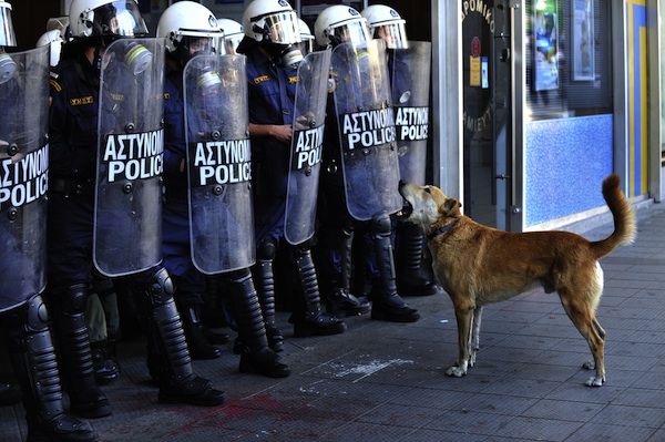 Loukanikos tiene a bada da solo un drappello di poliziotti (2010)