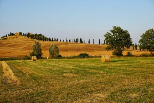 ...con mille lire ti puoi comprare<br />
tutta la piana di Granaiolo...