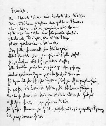 Il manoscritto di Grodek.