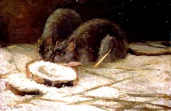 DEUX RATS     <br />
Vincent Van Gogh — 1884