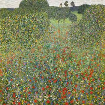 Campo di papaveri. Olio su tela di Gustav Klimt