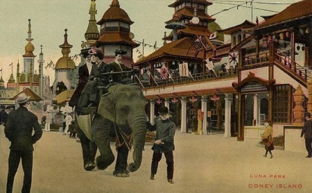 Sfilata di elefanti al luna park di Coney Island
