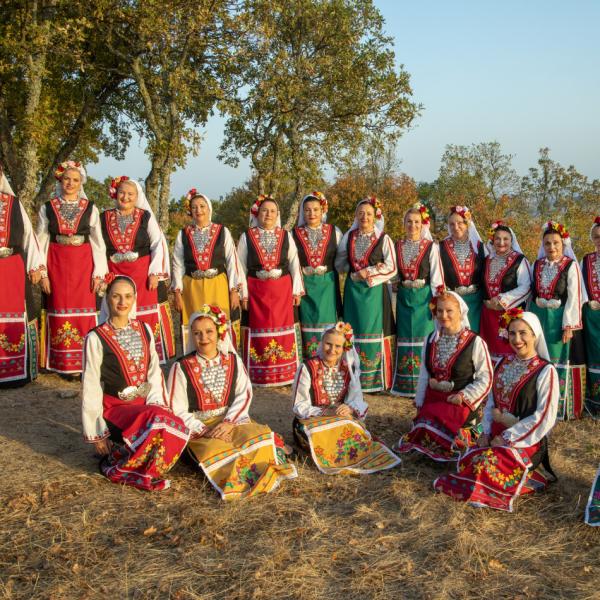 Пиленце пее [Дей, гиди, пушка-бойлия !]