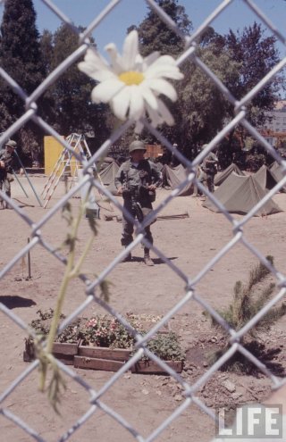 People’s Park, Berkeley, California, maggio 1969