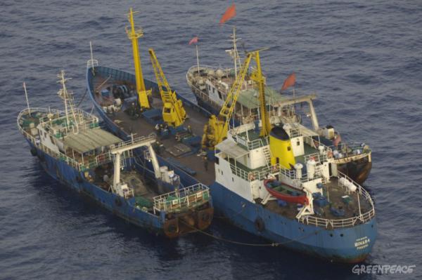 Guinea Bissau. Due pescherecci pirata cinesi trasferiscono pesce congelato su di un cargo panamense
