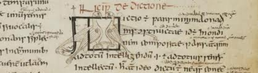 I testi antico-irlandesi (a sinistra) sui margini della Grammatica di Prisciano del monastero di S. Gallo.