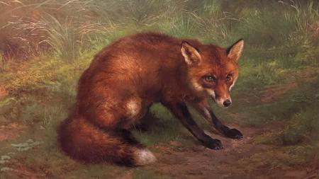 Le renard - Rosa Bonheur, ca. 1890