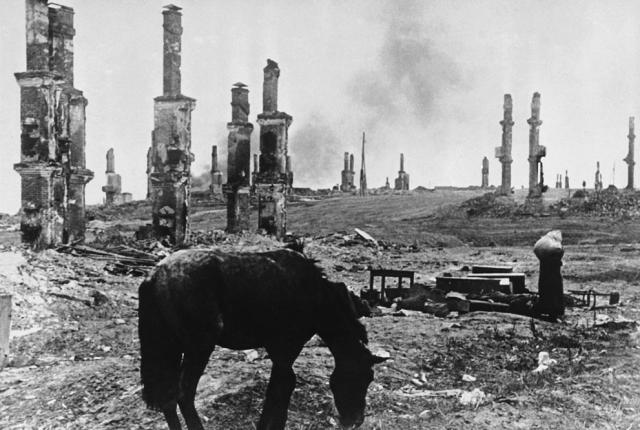  Stalingrado, dicembre ‎‎1942‎