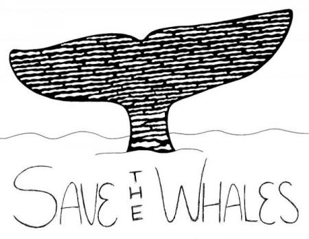save-the-whales-brittany-dorris