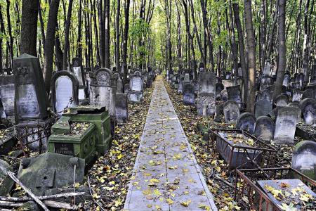 Jewish cemetery in Warsaw. Credit Andrzej Sidor