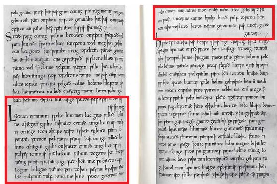 Wulf e Eadwacer evidenziato ai fogli 100b/101a del Libro di Exeter.